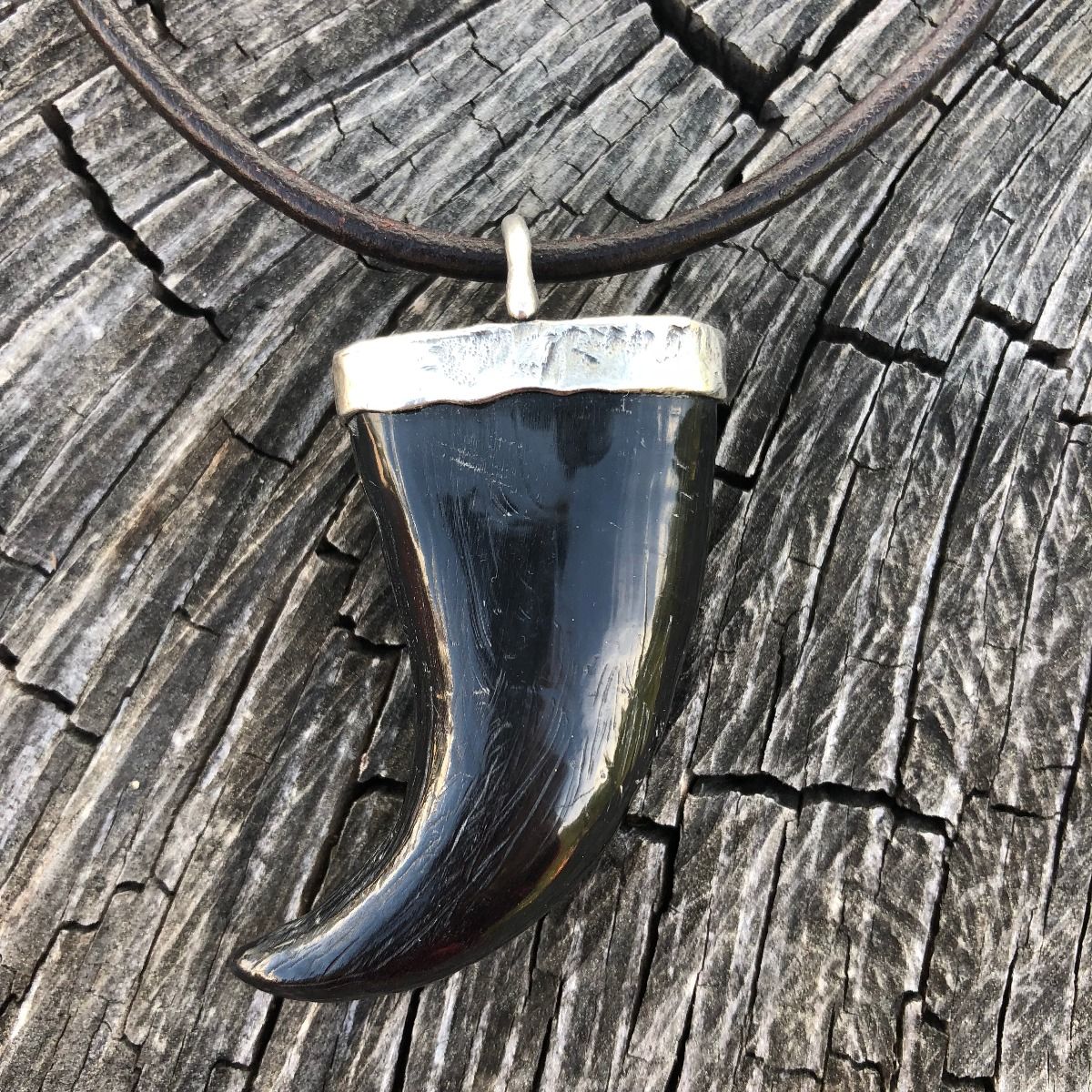 Garra cuerno búfalo